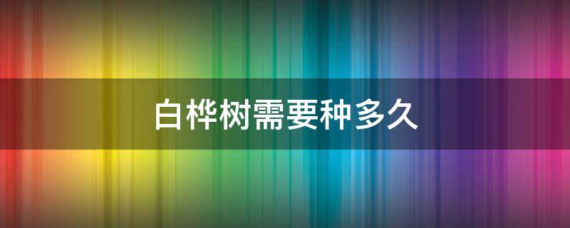 白桦树需要种多久 白桦树生长期是多少时间