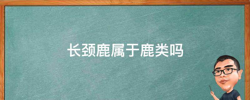 长颈鹿属于鹿类吗（长颈鹿属于什么类动物）