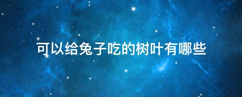 可以给兔子吃的树叶有哪些 兔子能吃的树叶有哪些