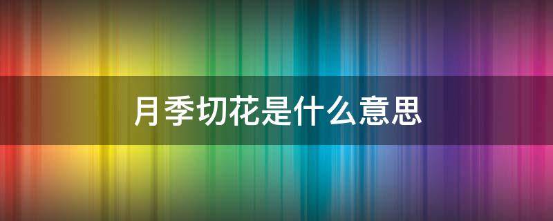 月季切花是什么意思（月季切花是什么意思怎么养）