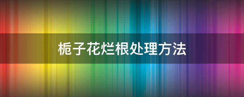 栀子花烂根处理方法 栀子花烂根处理方法视频