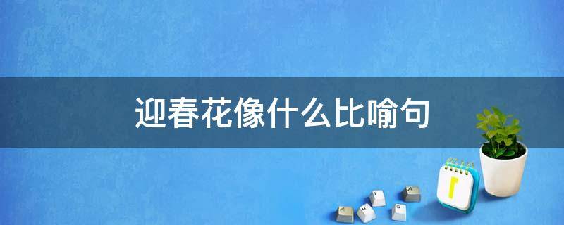 迎春花像什么比喻句 金色的迎春花像什么比喻句