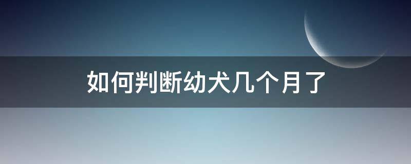 如何判断幼犬几个月了 怎么判断幼犬几个月了