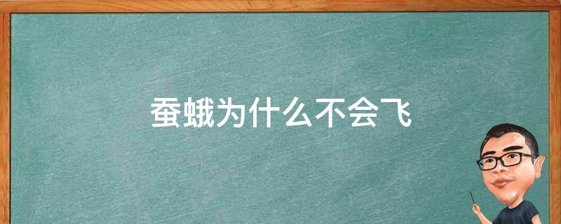 蚕蛾为什么不会飞 蚕蛾为什么不会飞也不会吃?