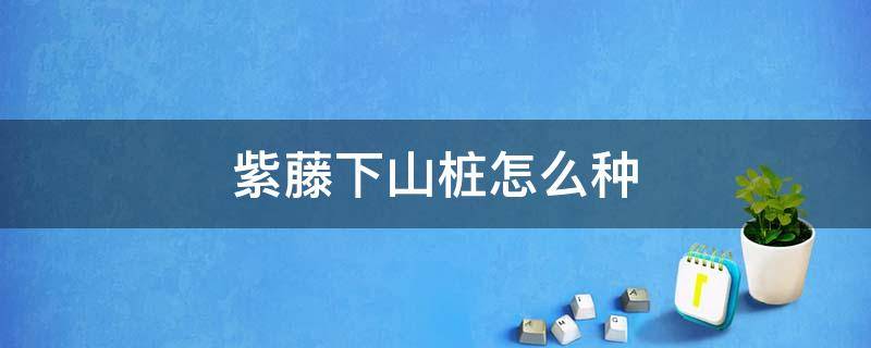 紫藤下山桩怎么种 紫藤下山桩怎么种植方法