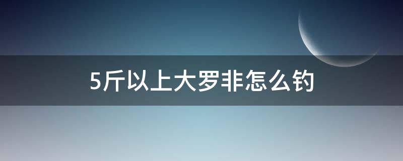 5斤以上大罗非怎么钓 野钓大罗非怎么钓