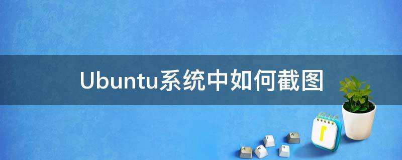 Ubuntu系统中如何截图 Ubuntu系统怎么截图