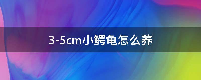 3-5cm小鳄龟怎么养（3-5cm小鳄龟怎么养视频）