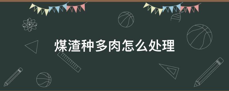 煤渣种多肉怎么处理（煤渣能种多肉吗）