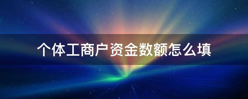 个体工商户资金数额怎么填（个体工商户投资金额填多少）