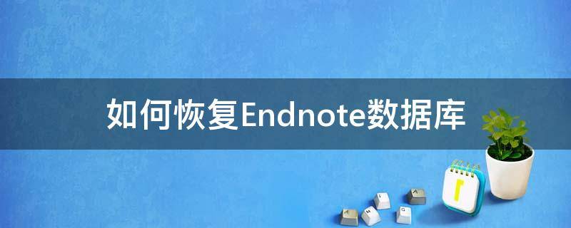 如何恢复Endnote数据库（endnote怎么找回记录）