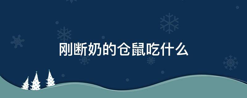 刚断奶的仓鼠吃什么 刚断奶的仓鼠吃什么好