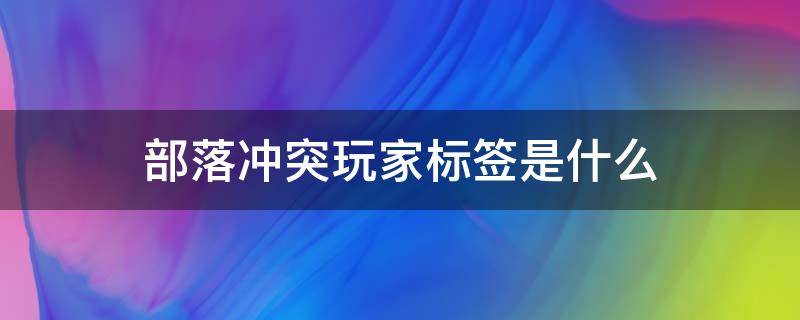 部落冲突玩家标签是什么（部落冲突没有找到该玩家标签）