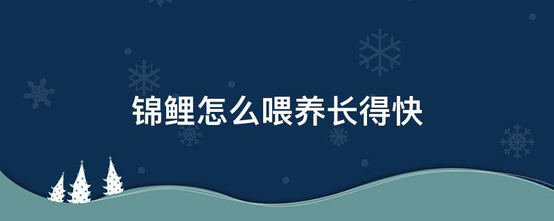 锦鲤怎么喂养长得快（锦鲤如何喂养长的快）