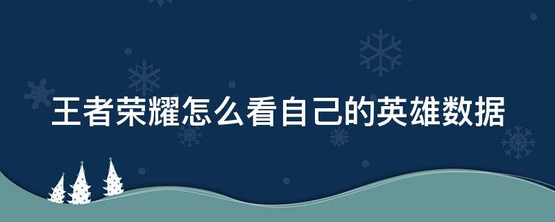 王者荣耀怎么看自己的英雄数据（王者荣耀怎么看自己的英雄数据记录）