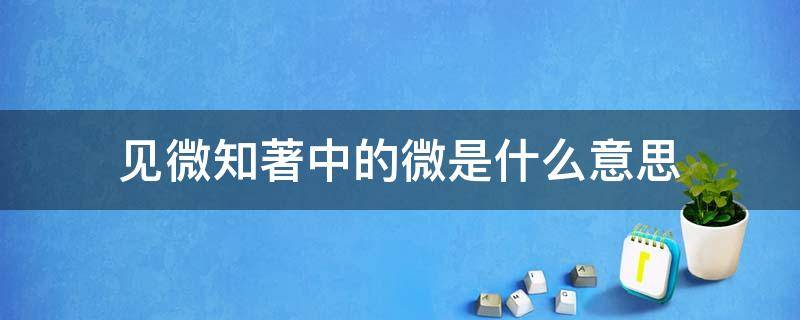 见微知著中的微是什么意思（见微知著中的微是什么意思注是什么意思这个词语）