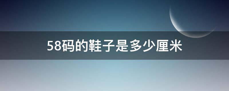 58码的鞋子是多少厘米（58号鞋多少厘米）