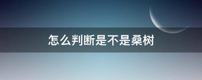 怎么判断是不是桑树（怎么看是不是桑树）