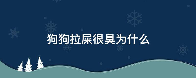 狗狗拉屎很臭为什么 为什么狗狗拉的屎特别臭