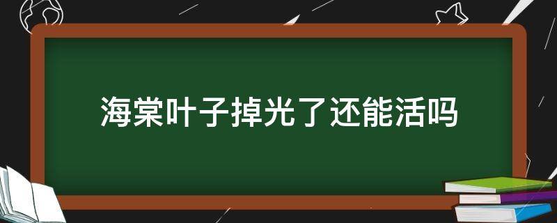 海棠叶子掉光了还能活吗 海棠叶子全掉光了