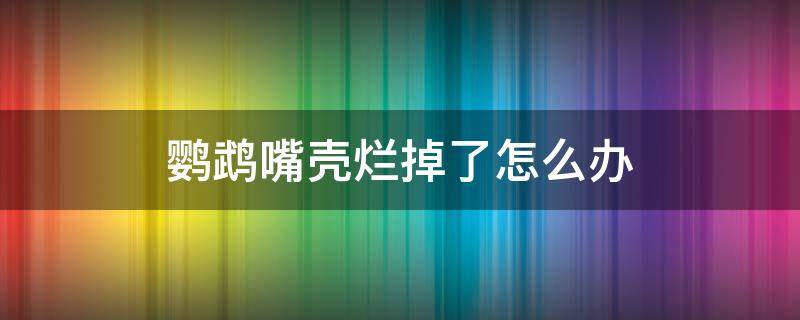 鹦鹉嘴壳烂掉了怎么办 鹦鹉嘴巴烂掉了是什么原因