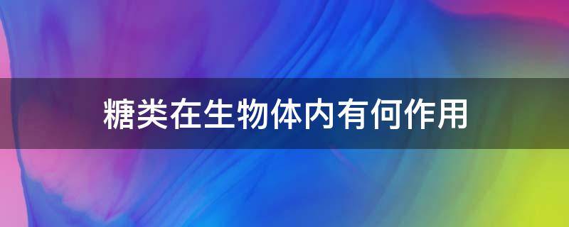 糖类在生物体内有何作用 糖类能作为生物体的什么物质