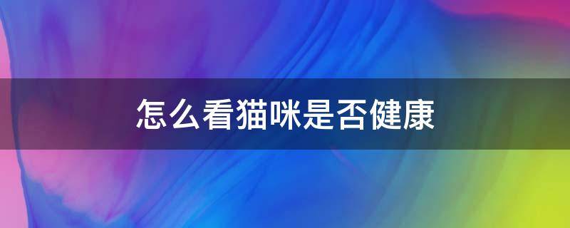 怎么看猫咪是否健康 怎么看宠物猫是否健康