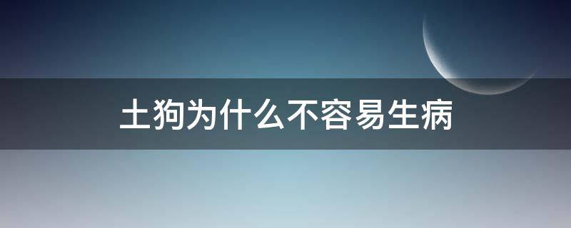 土狗为什么不容易生病 土狗为啥不容易生病