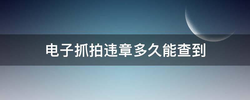 电子抓拍违章多久能查到（兰州电子抓拍违章多久能查到）