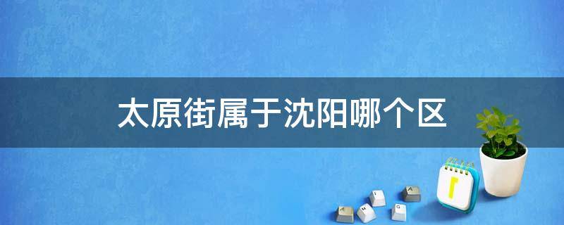 太原街属于沈阳哪个区 太原街属于沈阳什么区