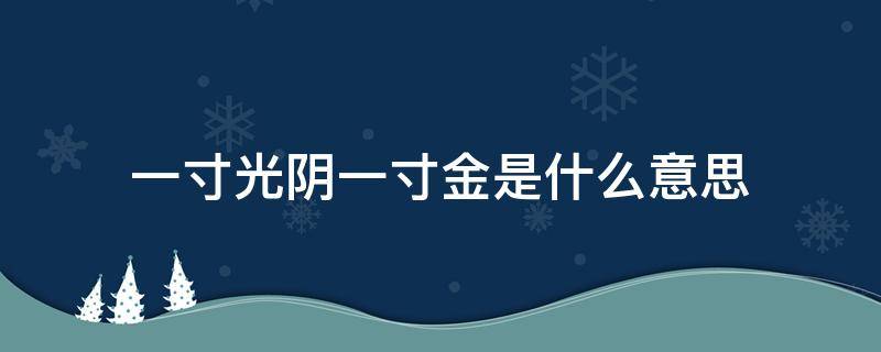 一寸光阴一寸金是什么意思（一寸光阴一寸金是什么意思寸金难买寸光阴是什么意思）