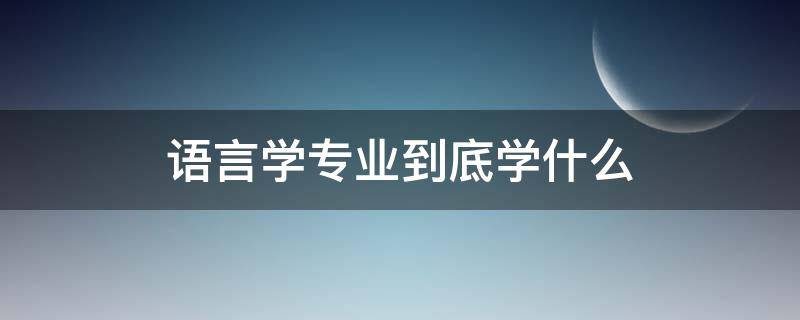 语言学专业到底学什么（语言专业主要学什么）