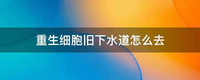 重生细胞旧下水道怎么去 重生细胞旧下水道怎么去作呕地窖