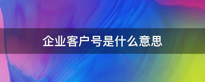 企业客户号是什么意思 什么是客户号?