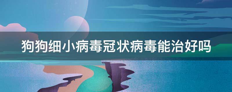 狗狗细小病毒冠状病毒能治好吗 狗狗细小冠状病毒会自愈吗