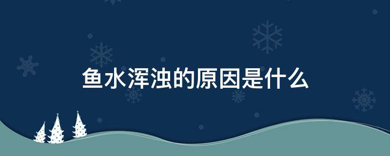 鱼水浑浊的原因是什么（鱼缸水浑浊的原因是什么）