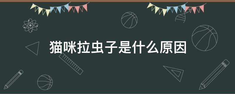 猫咪拉虫子是什么原因 猫咪拉屎拉出虫子是怎么回事