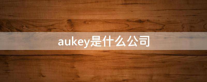 aukey是什么公司（aukey是什么意思）