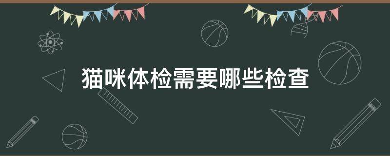 猫咪体检需要哪些检查 猫咪体检必须项目