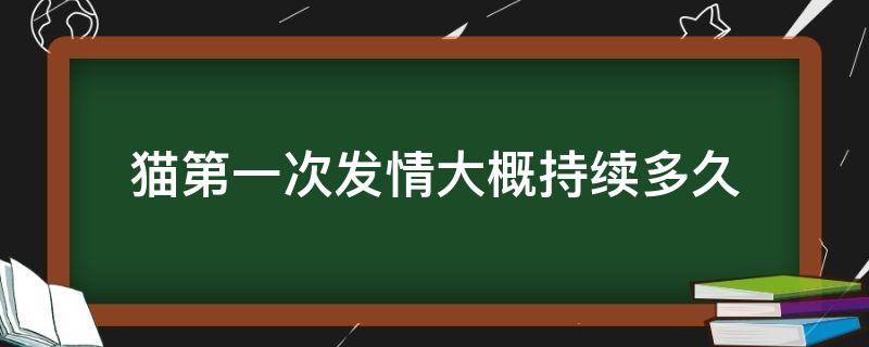 猫第一次发情大概持续多久