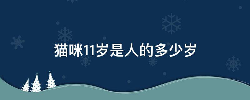 猫咪11岁是人的多少岁（猫11岁相当于人多少岁）