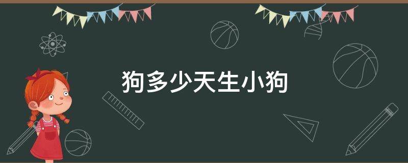 狗多少天生小狗 狗多少天生小狗?