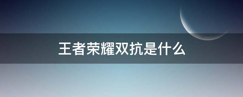 王者荣耀双抗是什么 王者荣耀双抗是什么装备