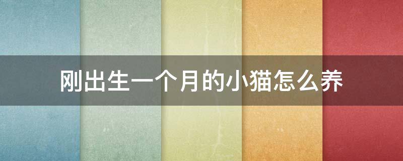 刚出生一个月的小猫怎么养 刚出生1个月的小猫怎么养