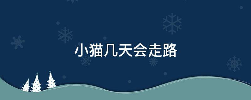 小猫几天会走路 刚生出来的小猫几天会走路