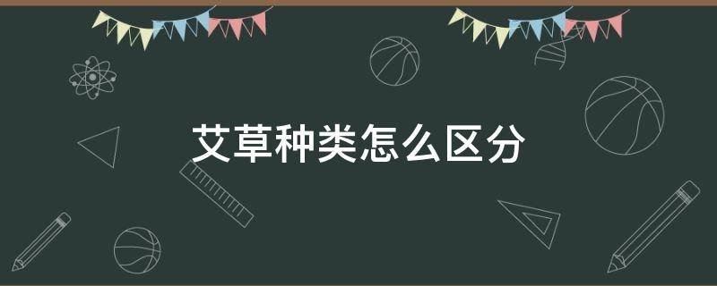 艾草种类怎么区分 艾草有几种怎么分辨