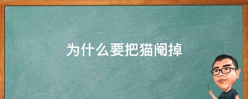 为什么要把猫阉掉（为什么要把猫阉了）