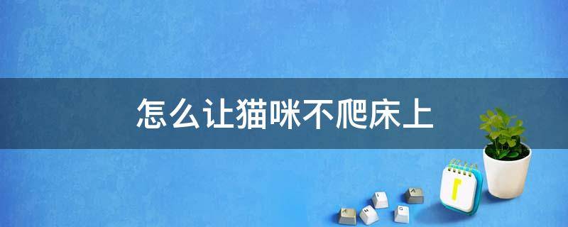 怎么让猫咪不爬床上 有什么办法可以让猫不爬床上