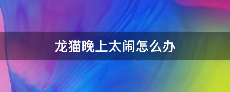 龙猫晚上太闹怎么办 如何使龙猫晚上不闹