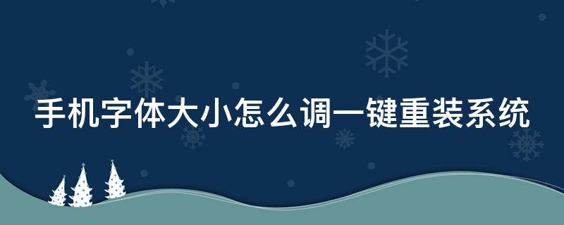 手机字体大小怎么调一键重装系统（手机字体大小怎么调一键重装系统呢）